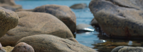 Bilden visar stanar i vatten i skärgårdsmiljö