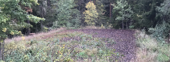 Renovering luktreningsanläggning - Rinkebyskogen Renovering luktreningsanläggning - Rinkebyskogen
