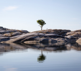 skärgårdsö med ett ensamt träd